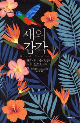 새의 감각 cover
