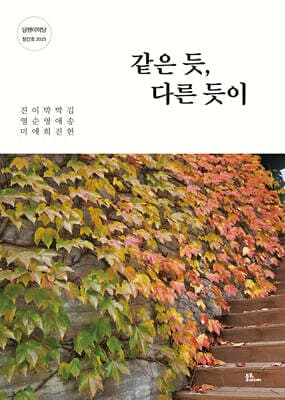 같은 듯 다른 듯이 표지