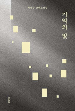 기억의 빛 표지