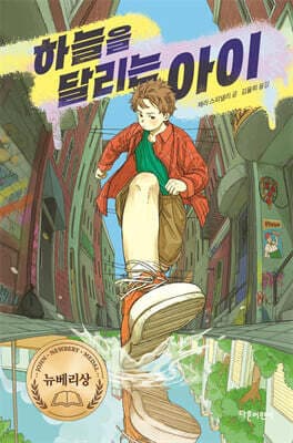 하늘을 달리는 아이 표지