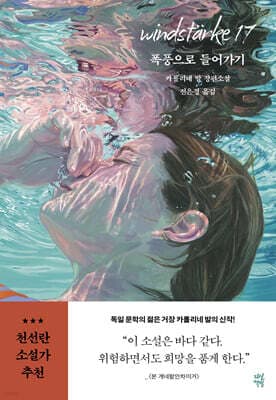 폭풍으로 들어가기 표지