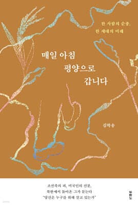 매일 아침 평양으로 갑니다 표지