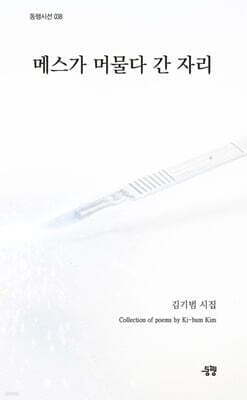 메스가 머물다 간 자리 표지