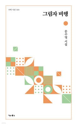 그림자 비행 cover
