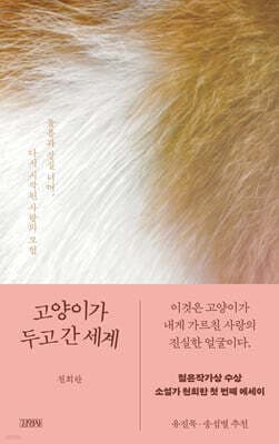 고양이가 두고 간 세계 표지