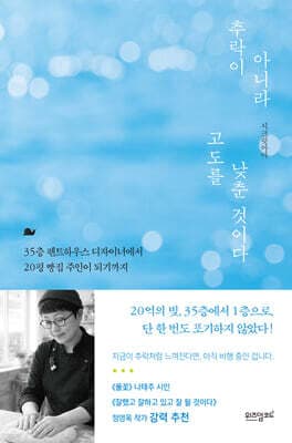 추락이 아니라 고도를 낮춘 것이다 표지