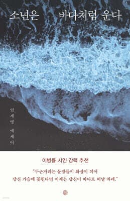 소년은 바다처럼 운다 표지