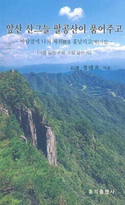 앞산 산그늘 팔공산이 품어주고 표지