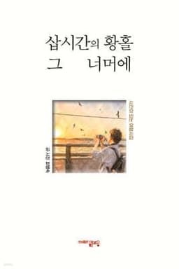 삽시간의 황홀 그 너머에 cover