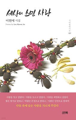 세상에 스민 사랑 표지