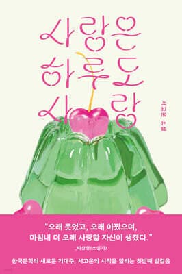 사랑은 하루도 사랑 표지