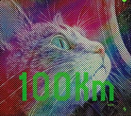 100km 표지