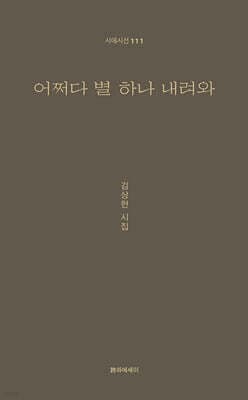 어쩌다 별 하나 내려와 표지