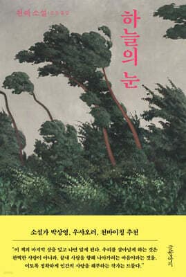 하늘의 눈 표지