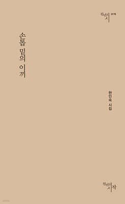 손톱 밑의 이끼 표지