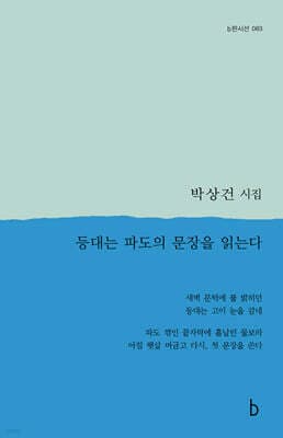 등대는 파도의 문장을 읽는다 cover