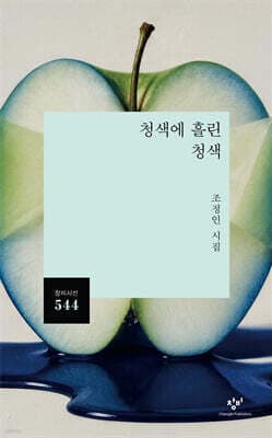 청색에 흘린 청색 표지