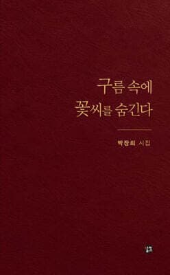 구름 속에 꽃씨를 숨긴다 표지