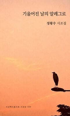 기울어진 날의 알레그로 표지