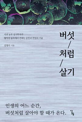 버섯처럼 살기 표지