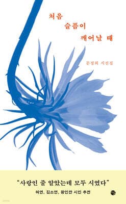 처음 슬픔이 깨어날 때 표지