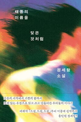 태풍의 이름을 잊은 것처럼 표지