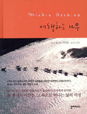 여행하는 나무 표지