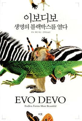 이보디보 표지