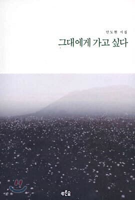 그대에게 가고 싶다 표지