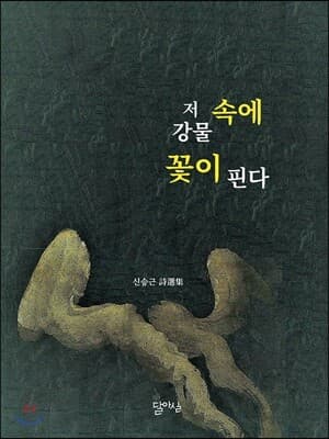저 강물 속에 꽃이 핀다 표지