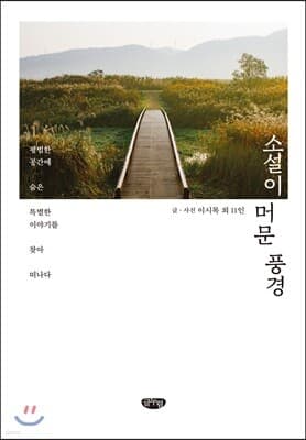 소설이 머문 풍경 표지