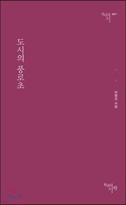 도시의 풍로초 표지