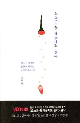 오늘은 좀 매울지도 몰라 표지