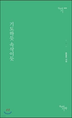기도하듯 속삭이듯 표지