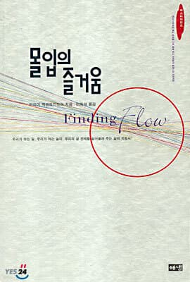 몰입의 즐거움 표지