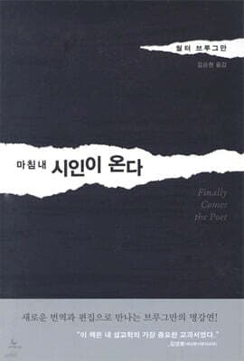 마침내 시인이 온다 cover