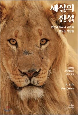 세실의 전설 표지