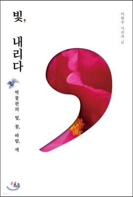 빛, 내리다 표지