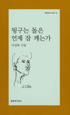 뒹구는 돌은 언제 잠 깨는가 표지