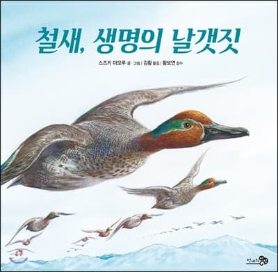 철새, 생명의 날갯짓 cover