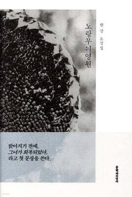 노랑무늬영원 표지