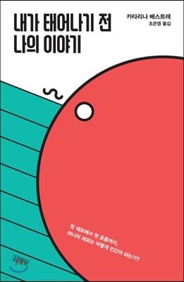 내가 태어나기 전 나의 이야기 표지