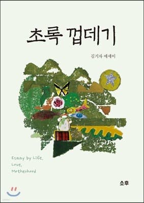 초록 껍데기 표지