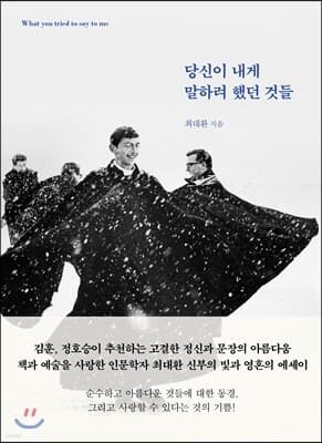 당신이 내게 말하려 했던 것들 표지