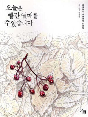 오늘은 빨간 열매를 주웠습니다 표지