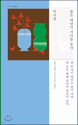 붉은 태양이 거미를 문다 표지