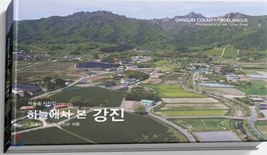 하늘에서 본 강진 표지