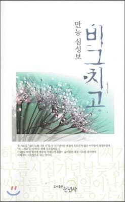 비그치고 표지