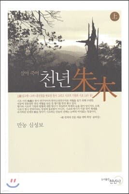 천년 주목 上 표지