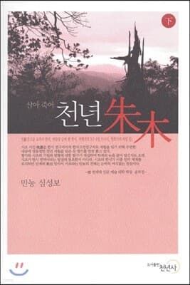 천년 주목 下 표지